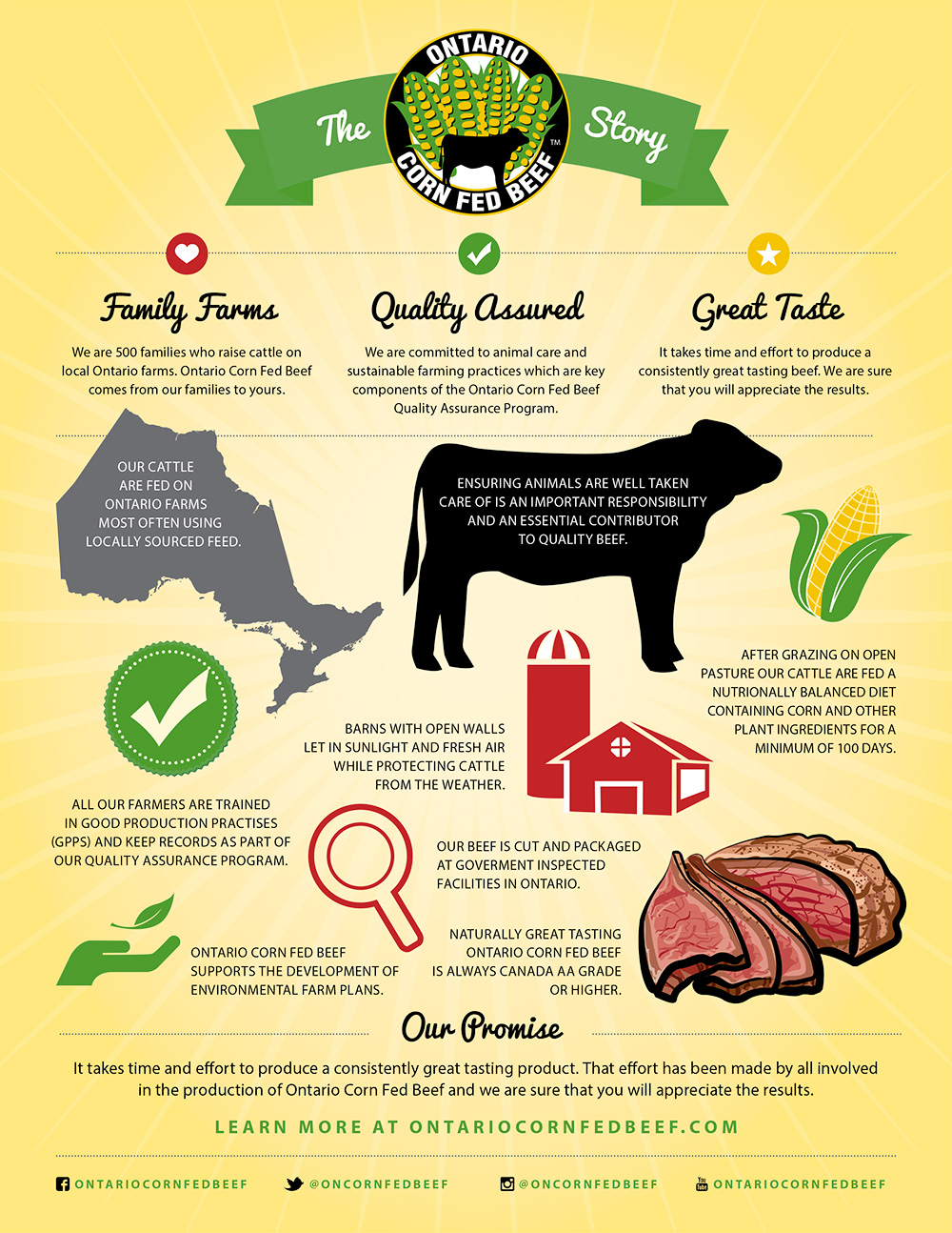 1-OCFBStory_Infographic_Web - Ontario Corn Fed Beef