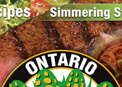 header-recipe-simmering-steak-89794_621x302