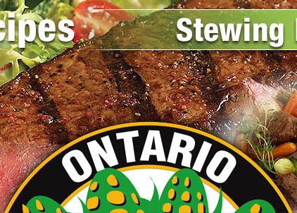 header-recipe-stewing-beef-91002_621x302