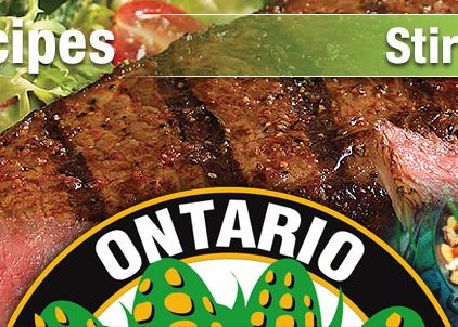 header-recipe-stir-fry-95954_621x302