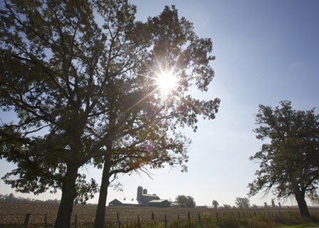 Jun_16_web-267513_612x320