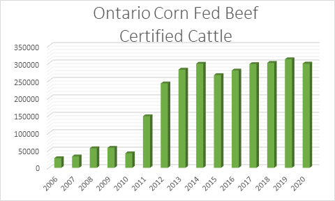 new-graph