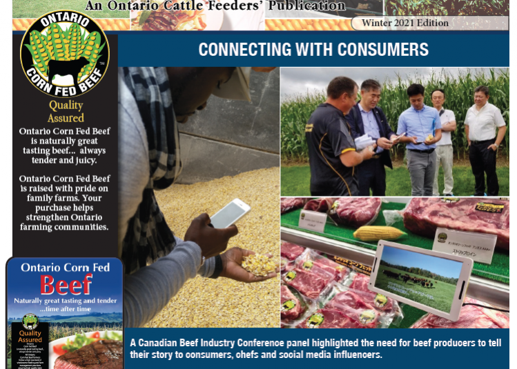 Screen Shot 2022-01-08 at 11.05.30 AM